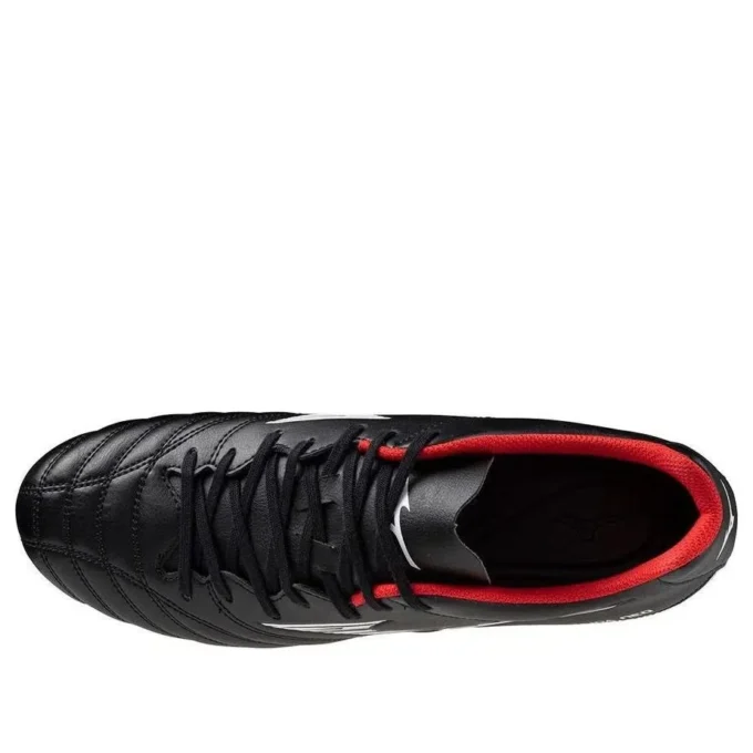 MONARCIDA NEO 3 SELECT “Zwart Wit”