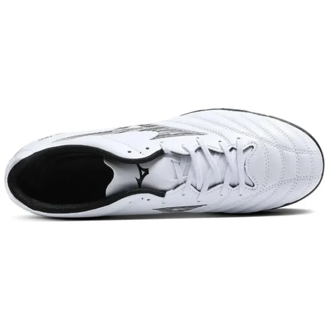 Monarcida Neo III Select AS “Wit”