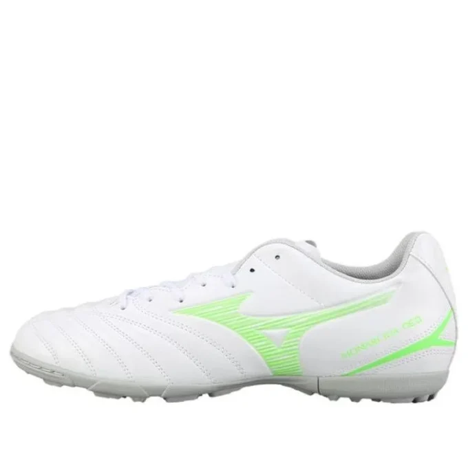 Monarcida Neo III Select AS “Wit Groen”