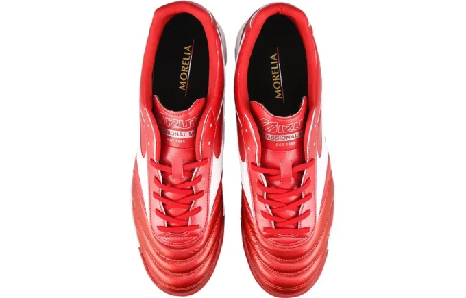 Morelia 2 Pro AS
