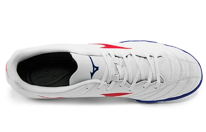 Morelia Neo II AS “Wit Blauw”