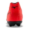 Morelia Neo II “Rood Zwart”