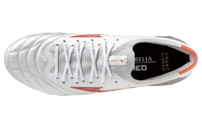 Morelia Neo IV Japan “Wit”