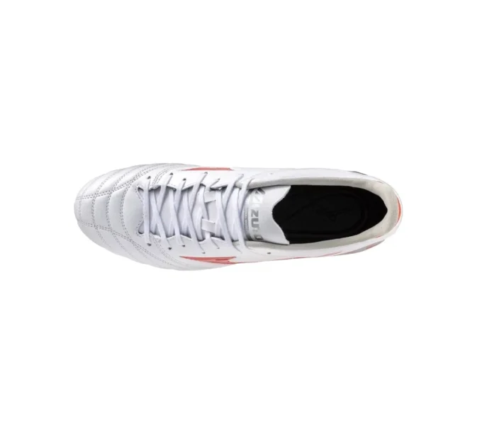 Morelia Neo IV Pro AG “Wit Rood”