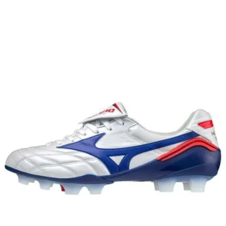Morelia Wave Japan “Zilverblauw” Morelia Wave Japan “Zilverblauw”