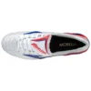 Morelia Wave Japan “Zilverblauw”