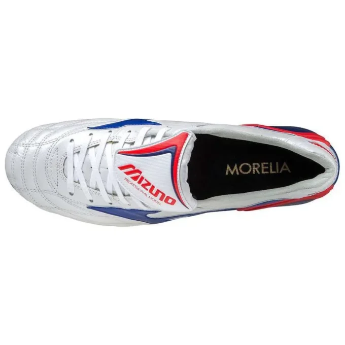Morelia Wave Japan “Zilverblauw”