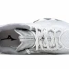 Wave Prophecy 10 “White Silver”